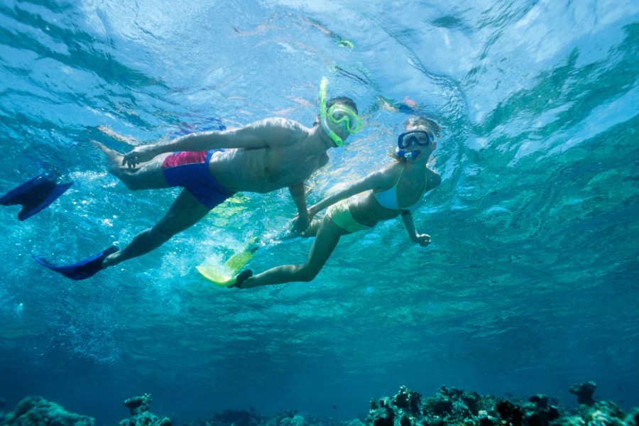 Top things to do in Kornati Islands National Park - Snorkeling